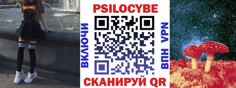 Галлюциногенные грибы Psilocybine cubensis Бронницы